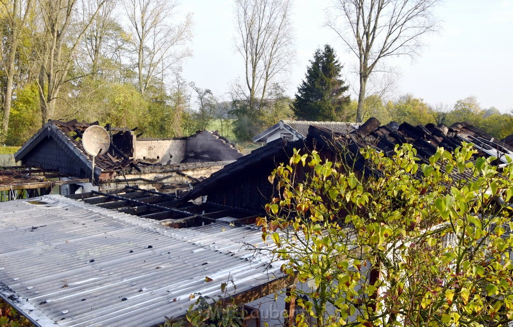 Feuer 1 brannten 3 Lauben Koeln Fuehlingen Kriegerhofstr P068.JPG - Miklos Laubert
